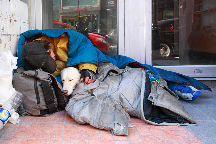Photos That Prove The Only Thing Dogs Want From You Is Love (33 pics)