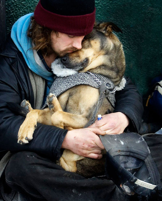 Photos That Prove The Only Thing Dogs Want From You Is Love (33 pics)