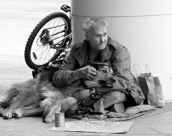 Photos That Prove The Only Thing Dogs Want From You Is Love (33 pics)