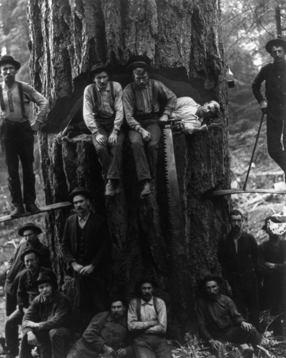 Vintage Photos Of US Loggers Doing What They Do Best (15 pics)