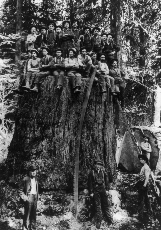 Vintage Photos Of US Loggers Doing What They Do Best (15 pics)