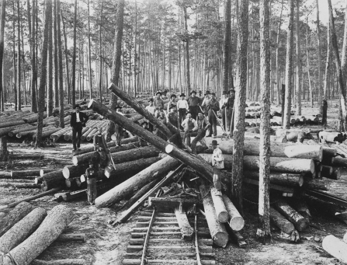 Vintage Photos Of US Loggers Doing What They Do Best (15 pics)