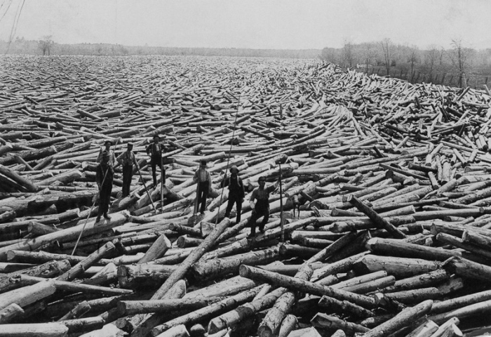 Vintage Photos Of US Loggers Doing What They Do Best (15 pics)