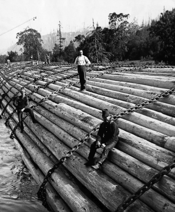 Vintage Photos Of US Loggers Doing What They Do Best (15 pics)