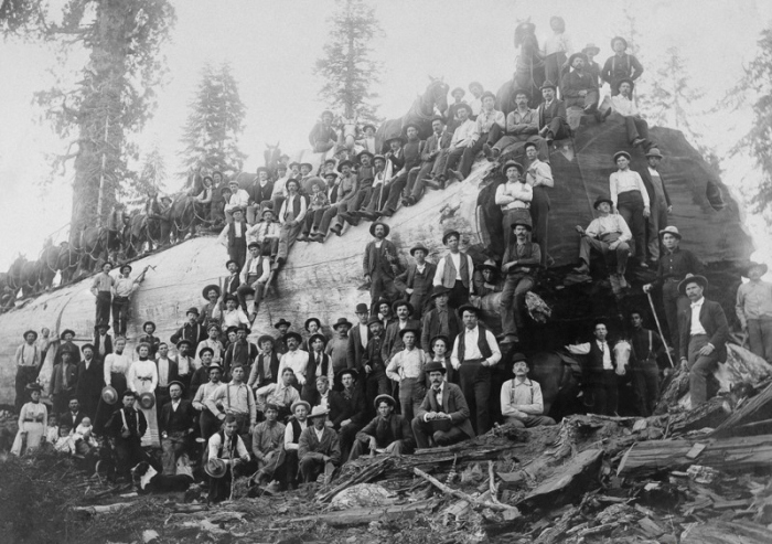 Vintage Photos Of US Loggers Doing What They Do Best (15 pics)