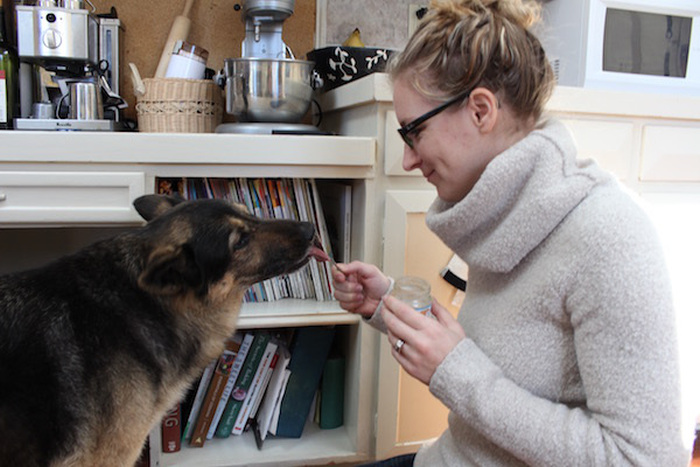 German Shepard Tells The Story Of Her Last Day On Earth (20 pics)