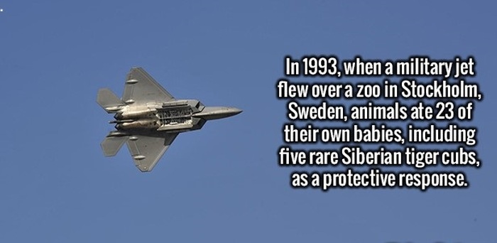 Interesting Facts That Will Excite Your Mind (24 pics)