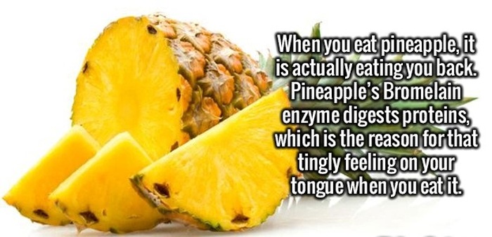 Interesting Facts That Will Excite Your Mind (24 pics)