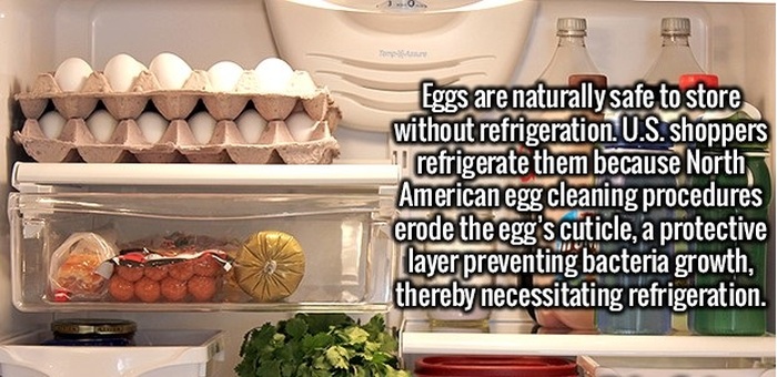 Interesting Facts That Will Excite Your Mind (24 pics)