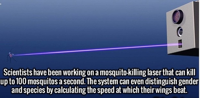Interesting Facts That Will Excite Your Mind (24 pics)