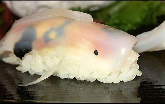 How To Make Sushi Look Like Real Life Koi In Just A Few Steps (15 pics)
