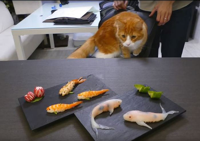 How To Make Sushi Look Like Real Life Koi In Just A Few Steps (15 pics)