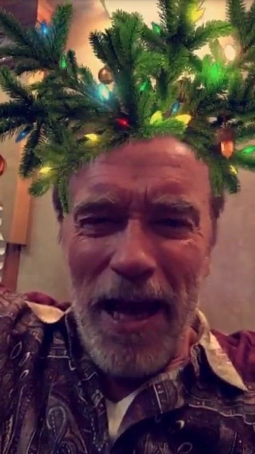 Arnold Schwarzenegger Wants You To Have A Merry Christmas (2 pics)