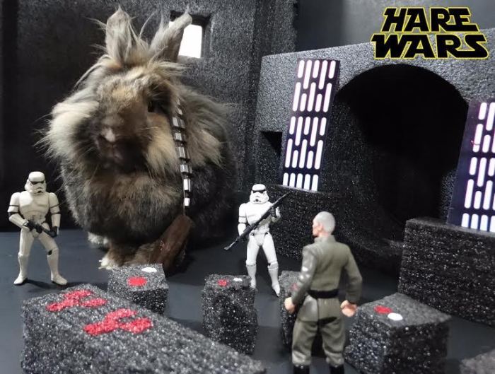 Chewbacca Gets Replaced By A Bunny For Hare Wars (10 pics)