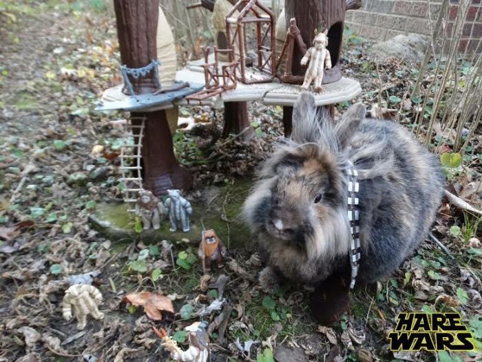 Chewbacca Gets Replaced By A Bunny For Hare Wars (10 pics)