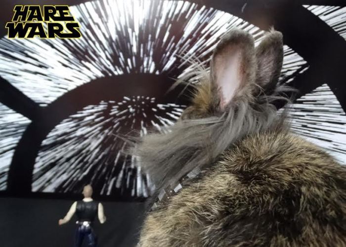 Chewbacca Gets Replaced By A Bunny For Hare Wars (10 pics)