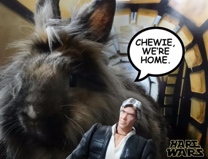 Chewbacca Gets Replaced By A Bunny For Hare Wars (10 pics)
