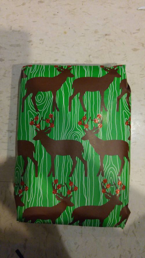 Guy Takes Holiday Gift Wrapping To The Extreme (14 pics)