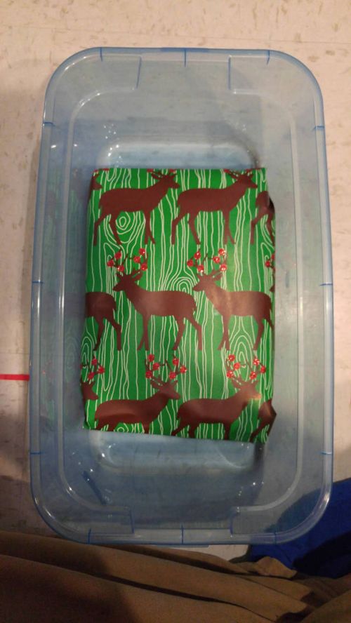 Guy Takes Holiday Gift Wrapping To The Extreme (14 pics)