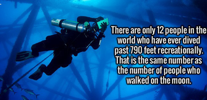 Crazy Facts About People, Places And The World We Live In (25 pics)