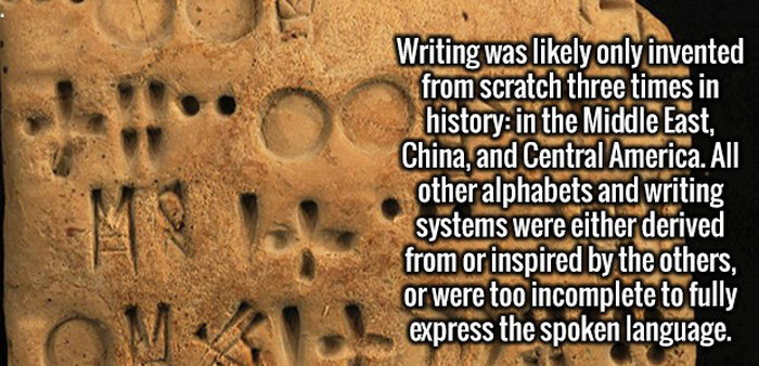 Crazy Facts About People, Places And The World We Live In (25 pics)
