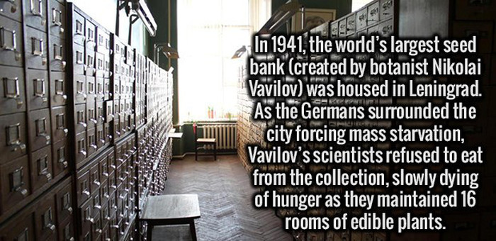 Crazy Facts About People, Places And The World We Live In (25 pics)