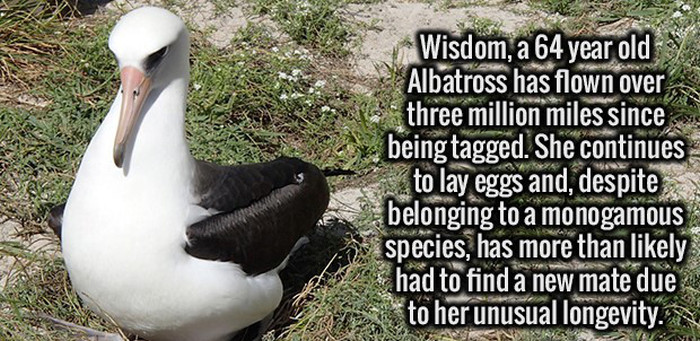 Crazy Facts About People, Places And The World We Live In (25 pics)