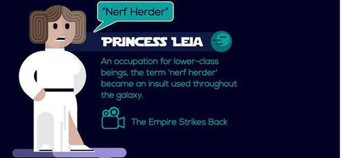 What The Insults Used In The Star Wars Universe Actually Mean (21 pics)