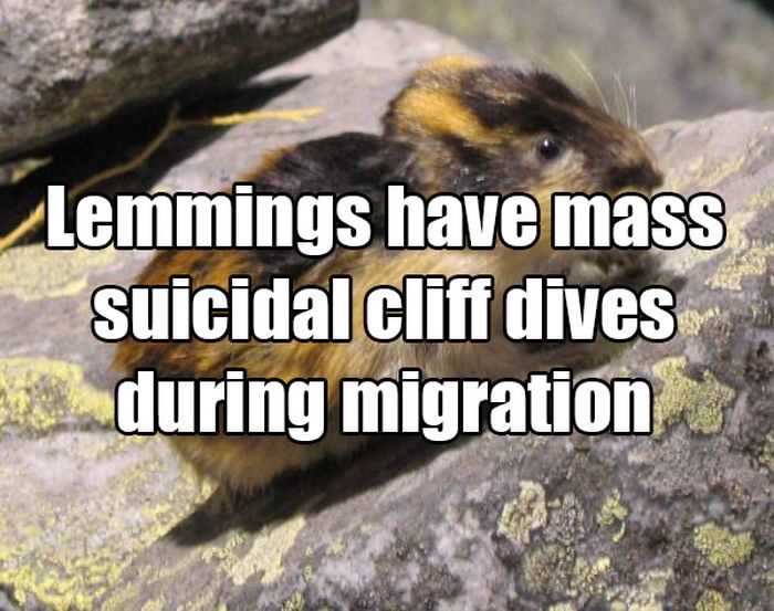 Common Misconceptions That You Need To Stop Believing (14 pics)