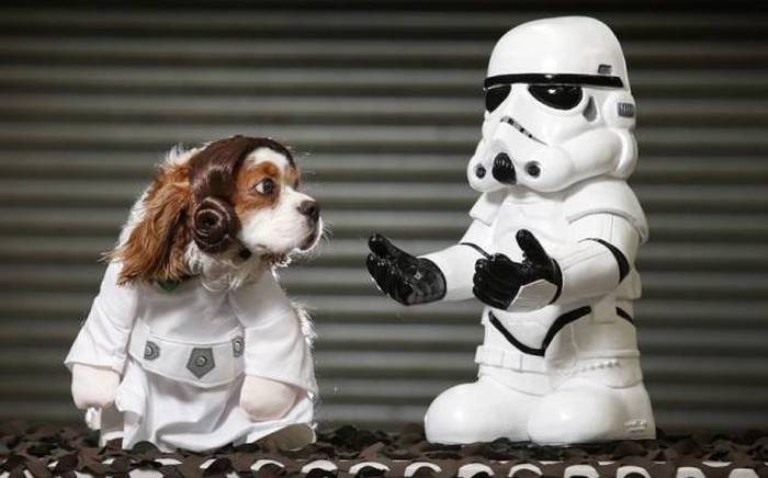 Acid Picdump (109 pics)