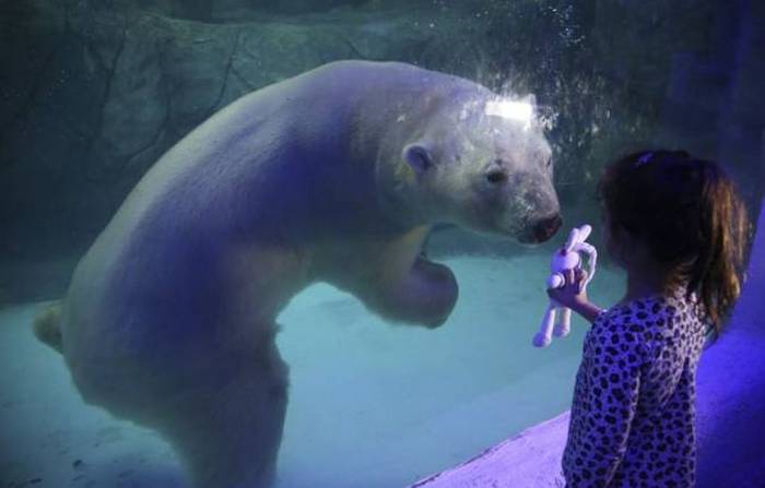 Acid Picdump (109 pics)