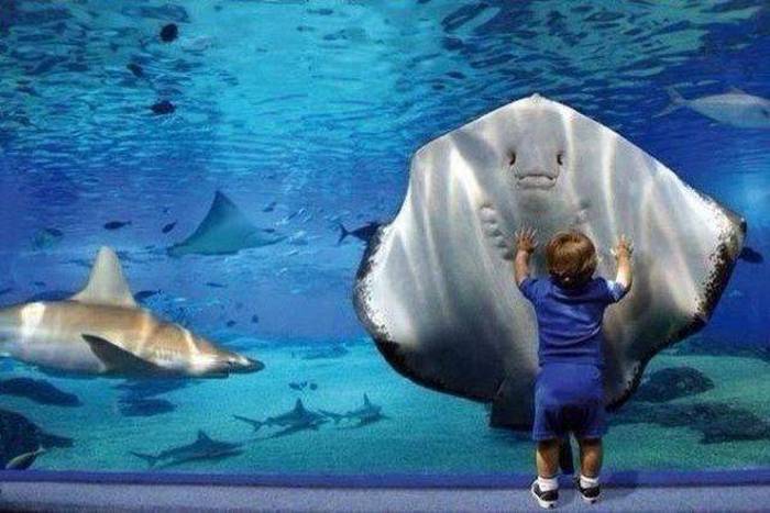 Acid Picdump (109 pics)