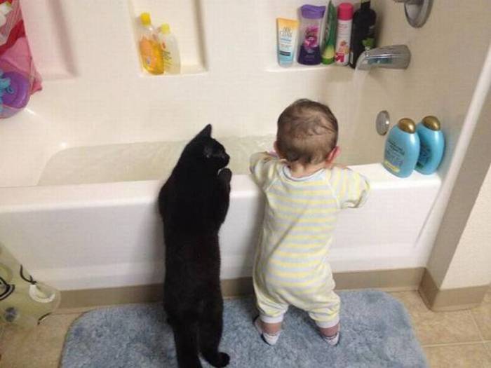 Acid Picdump (109 pics)