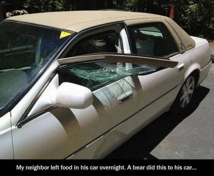 Acid Picdump (109 pics)