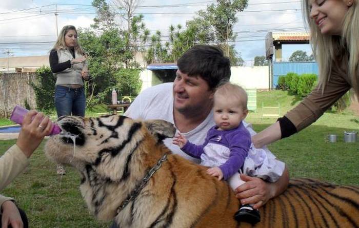 Acid Picdump (109 pics)