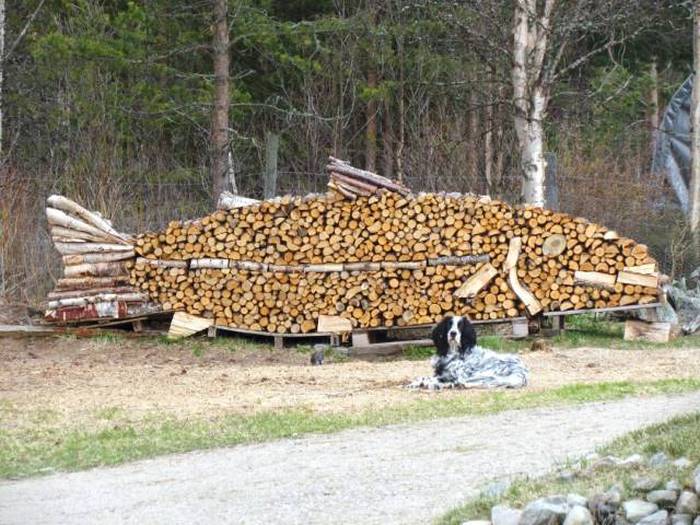 Acid Picdump (109 pics)