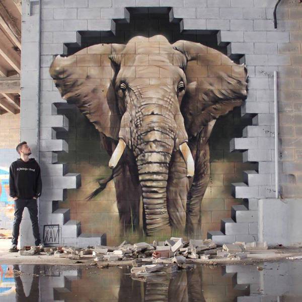 Acid Picdump (109 pics)