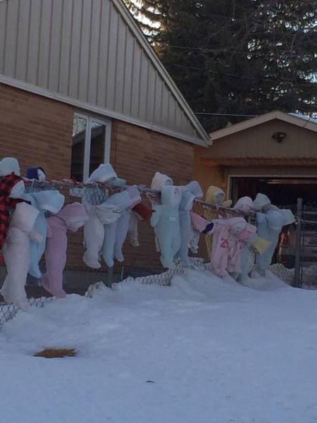 Acid Picdump (109 pics)