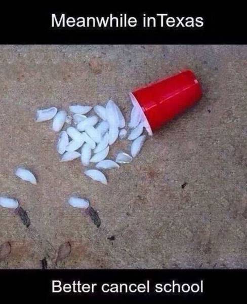 Acid Picdump (109 pics)