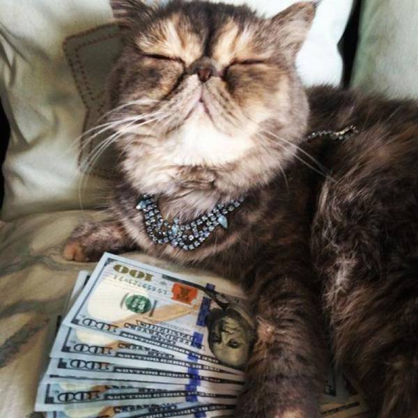 Acid Picdump (109 pics)
