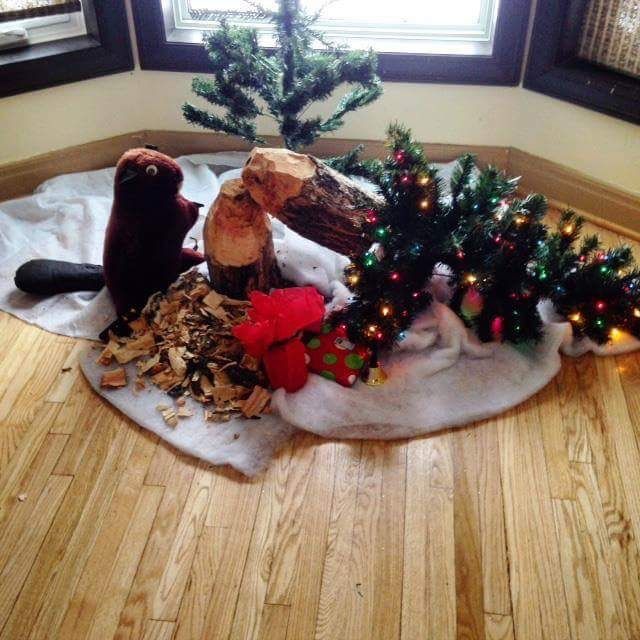 Acid Picdump (109 pics)