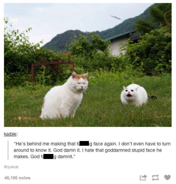 The Funniest And Most Outrageous Posts About Animals In The History Of Tumblr (30 pics)