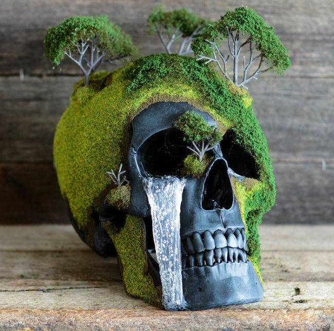 Creep Up Your Living Room With A Bonsai Skull (8 pics)