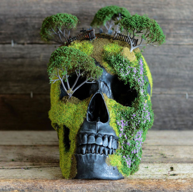 Creep Up Your Living Room With A Bonsai Skull (8 pics)
