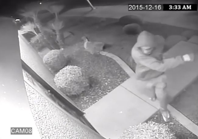 Burglars Just Want Tacos | Restaurant Trolls Burglars