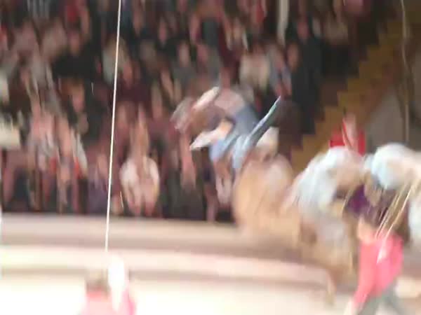 Funny Circus Fail