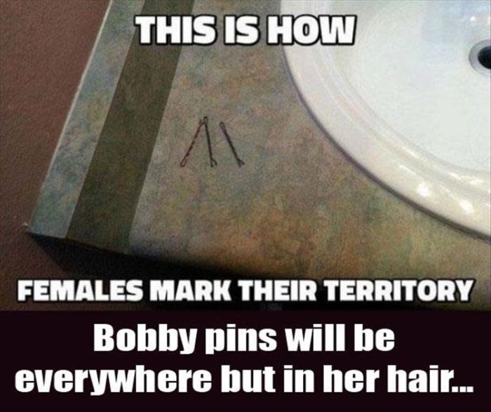 Perfect Examples Of Why Women's Logic Doesn't Make Any Sense (32 pics)