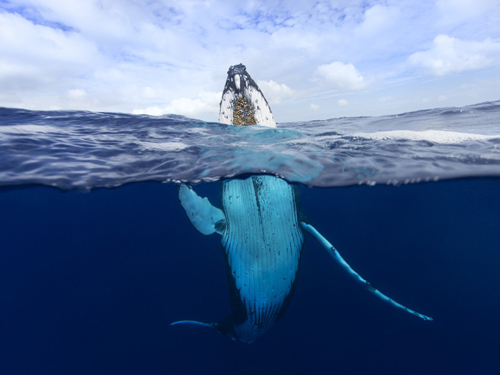 National Geographic Ranks The Best Travel Photos Of 2015 (33 pics)