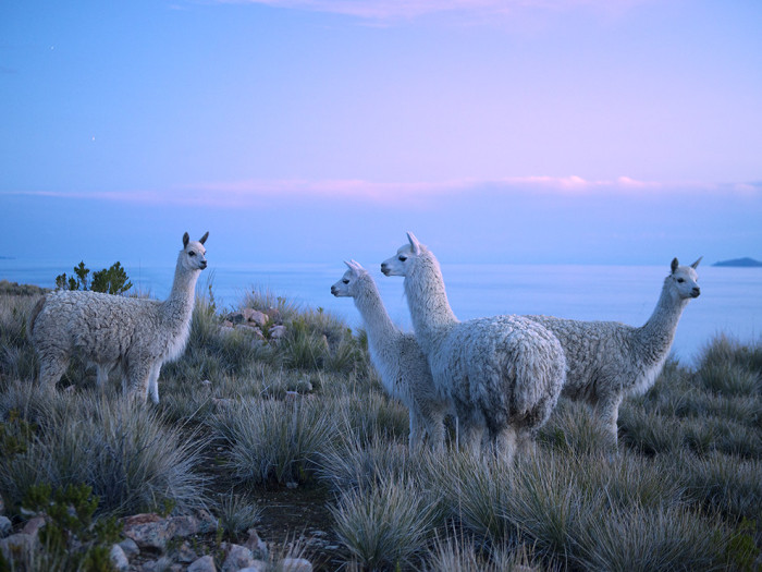 National Geographic Ranks The Best Travel Photos Of 2015 (33 pics)