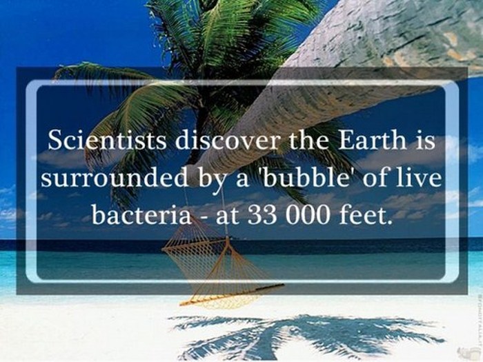 Shocking Science Facts To Help You Expand Your Mind (25 pics)
